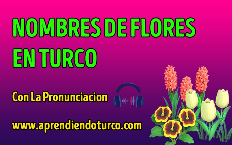 Nombres de Flores En Turco | Çiçek İsimleri