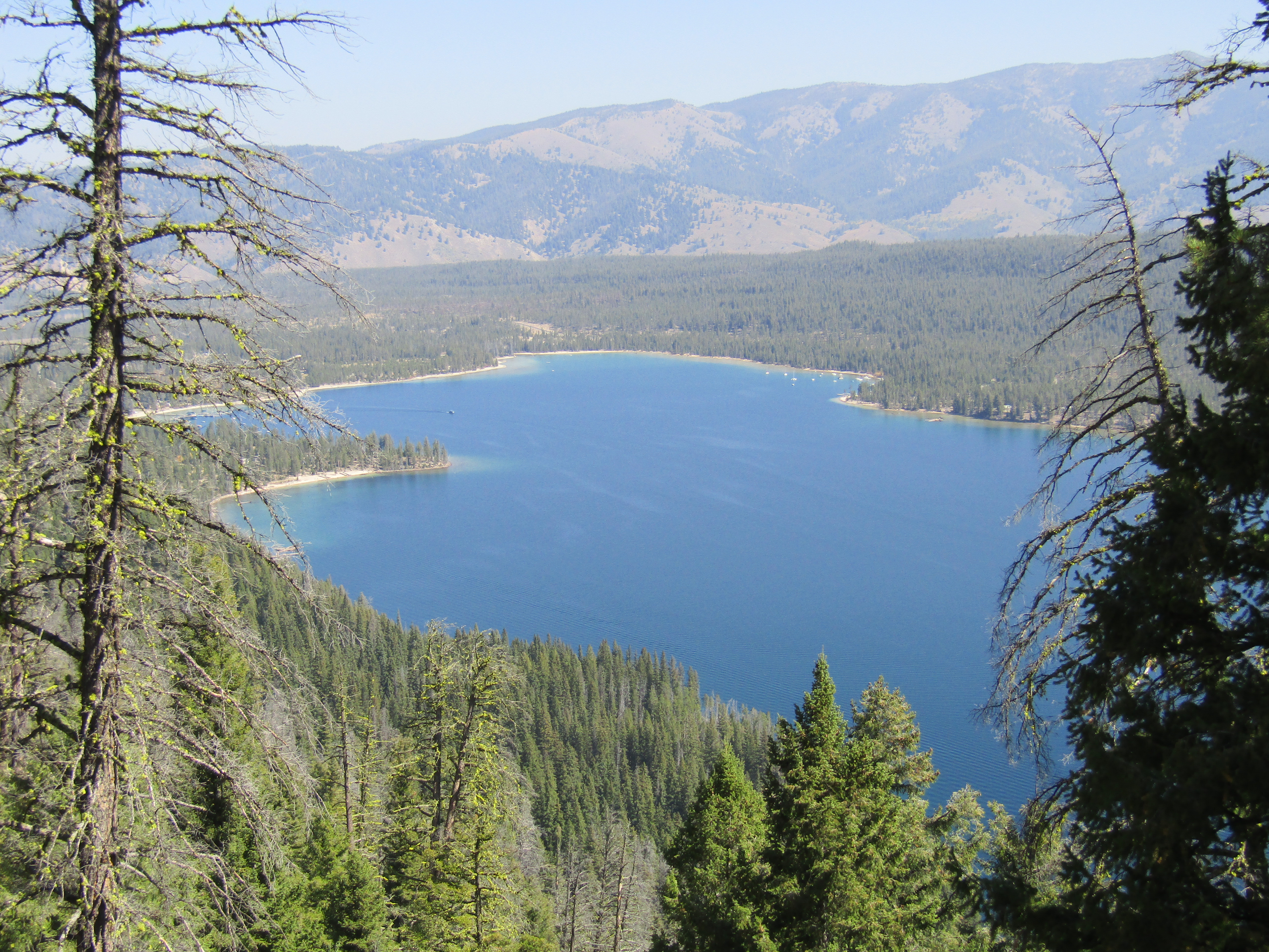 Holly's Horse Tales and Trails Tin Cup, Decker Flat, Iron Creek and