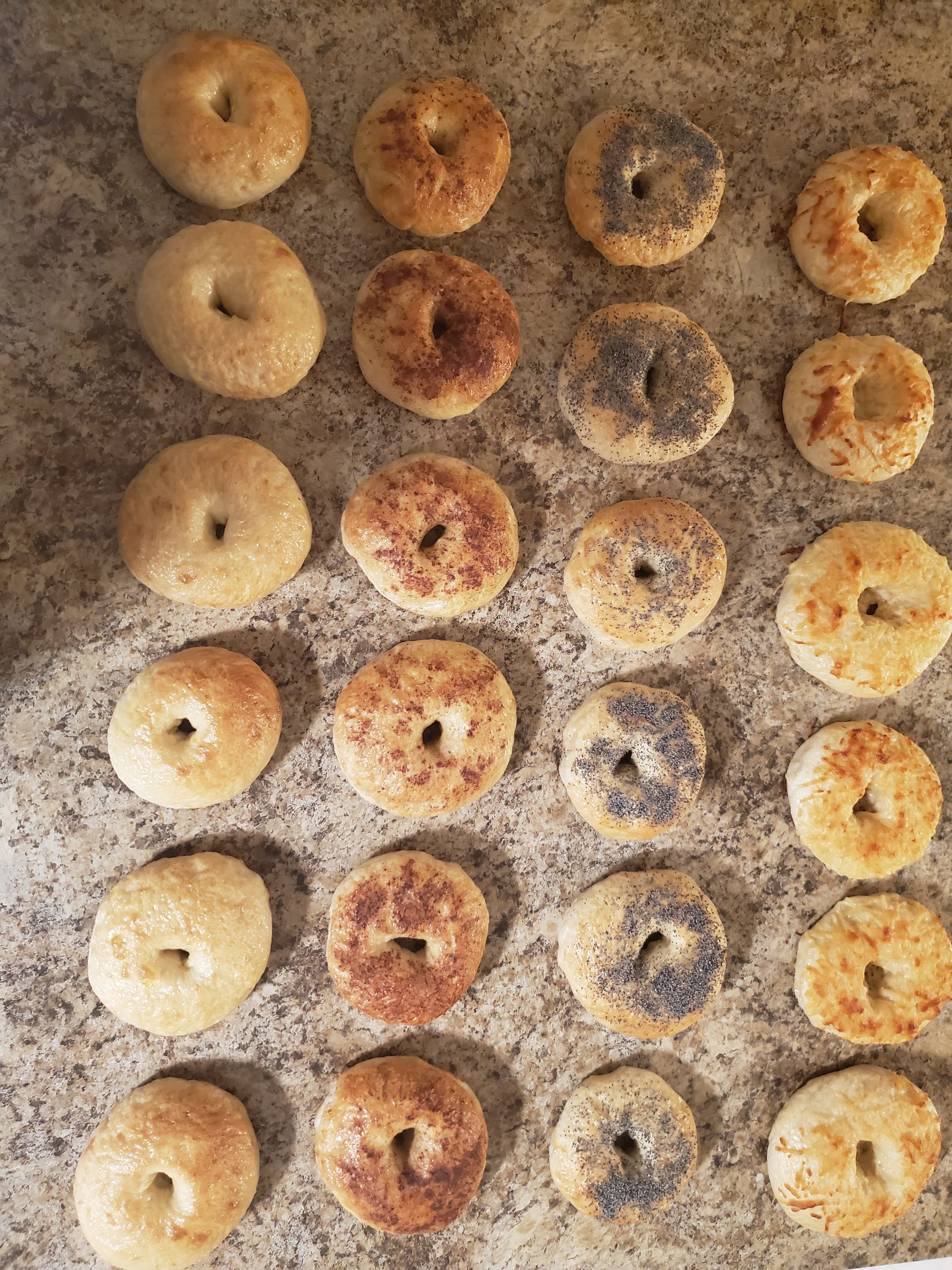 Molly's Homemade Bagels Recipe