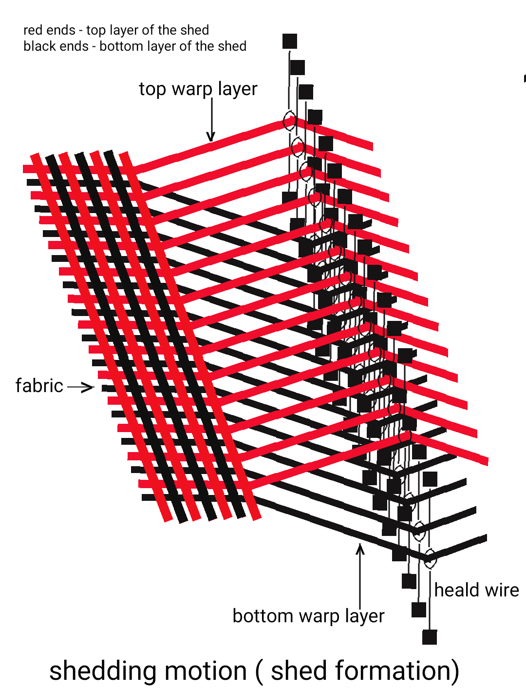 Textile Adviser SHEDDING MOTION, PRIMARY LOOM MOTION, TYPES IF
