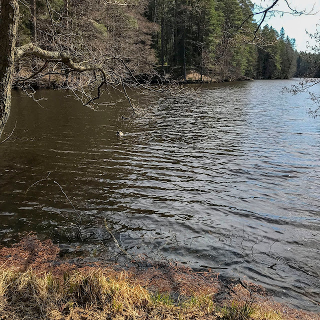 stora dammen i tumba storadammen, tumba