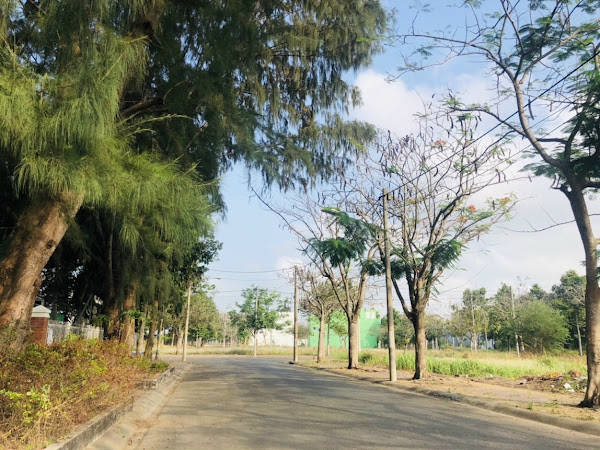 ảnh thực tế hạ tầng dự án khu đô thị Lợi Bình Nhơn