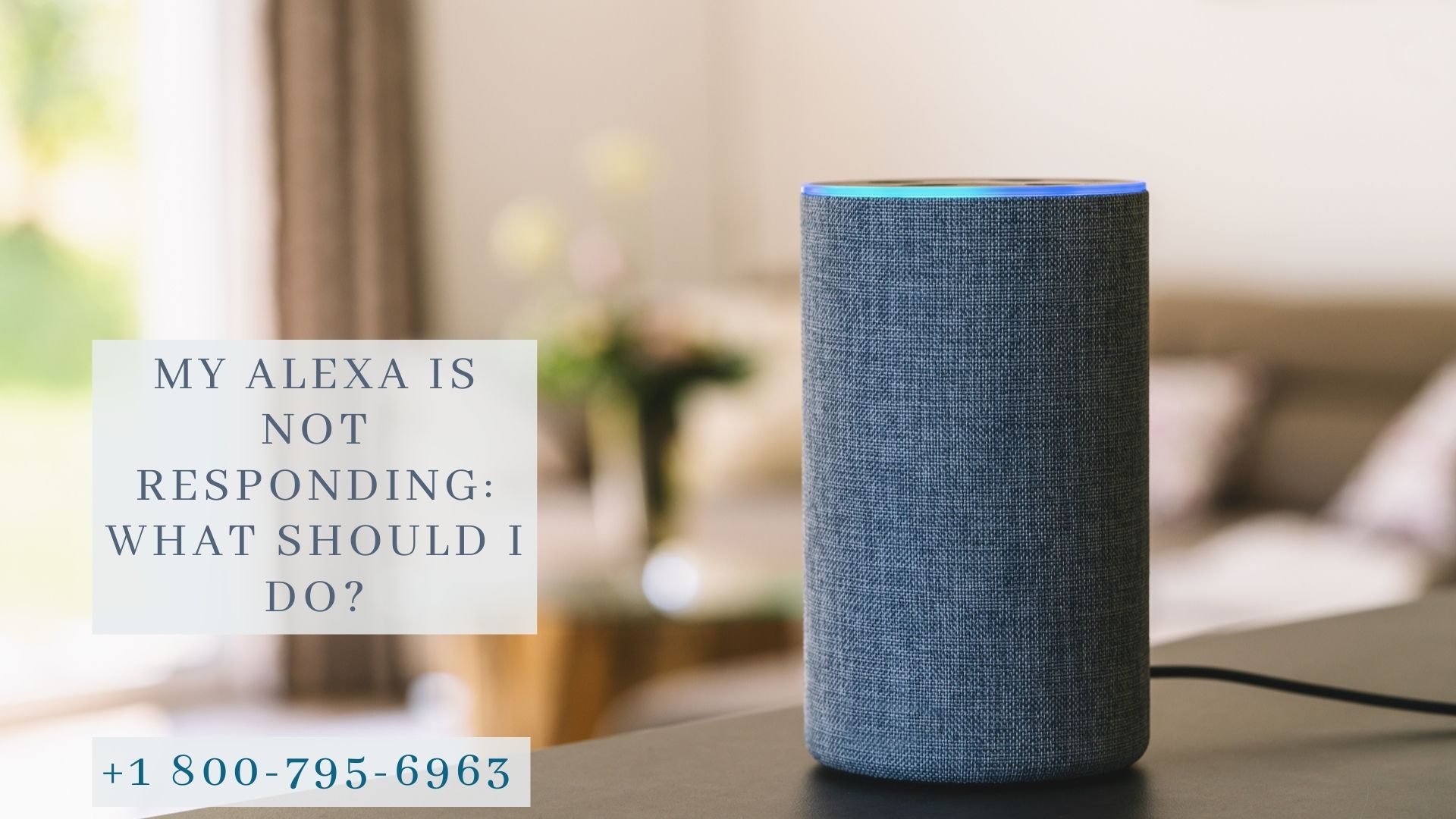 Alexa Not Responding Alexa Not Working Alexa Helpline Number +1800
