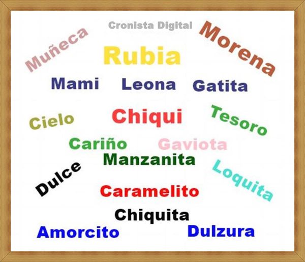 MEJORANDO EL VOCABULARIO COMUNICATIVO APODOS Y ALIAS