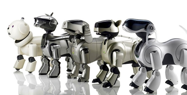 aibo puppy robot