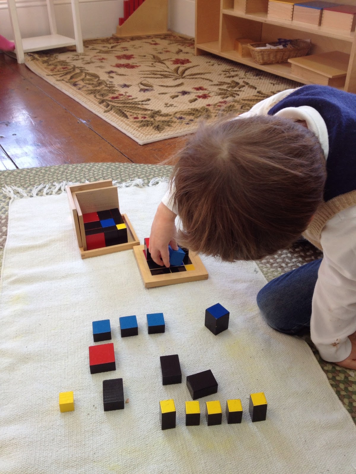 Meadowbrook Montessori Sensorial Curriculum