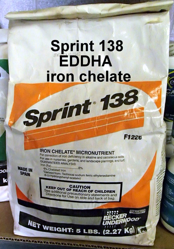 Xtremehorticulture of the Desert Why Iron Fertilizers Don't Work