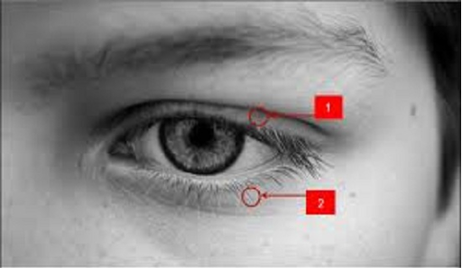 Mata Kiri Bawah Berdenyut : Mata Anda Berdenyut Denyut Ini Adalah