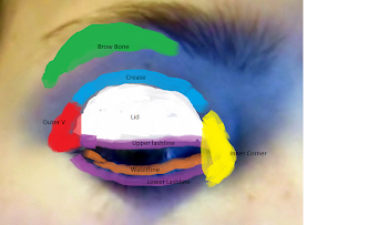 Where to Place Eyeshadow