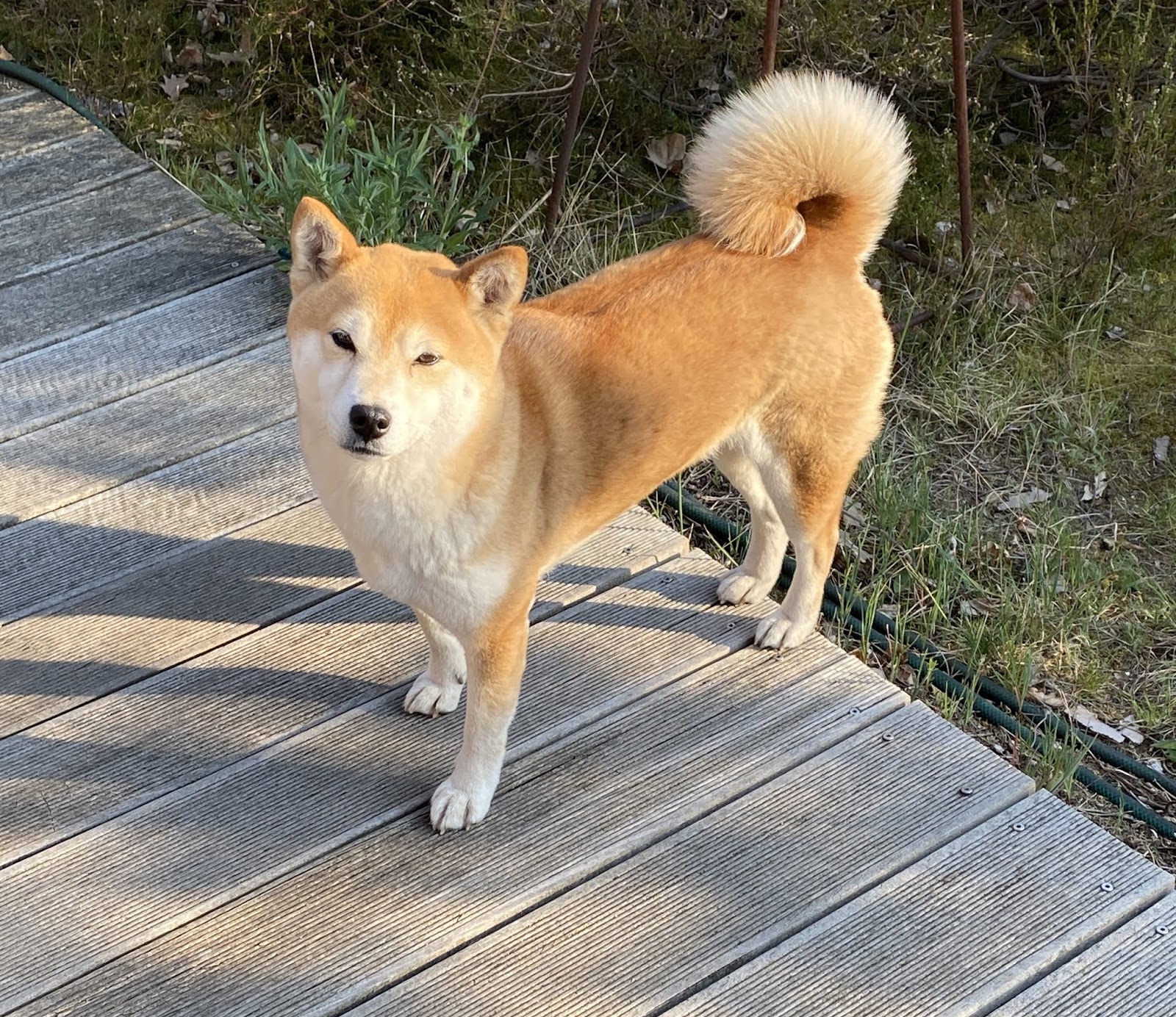 Dries Van Noten In Der Seele Des Modeschopfers Ausstellung Im