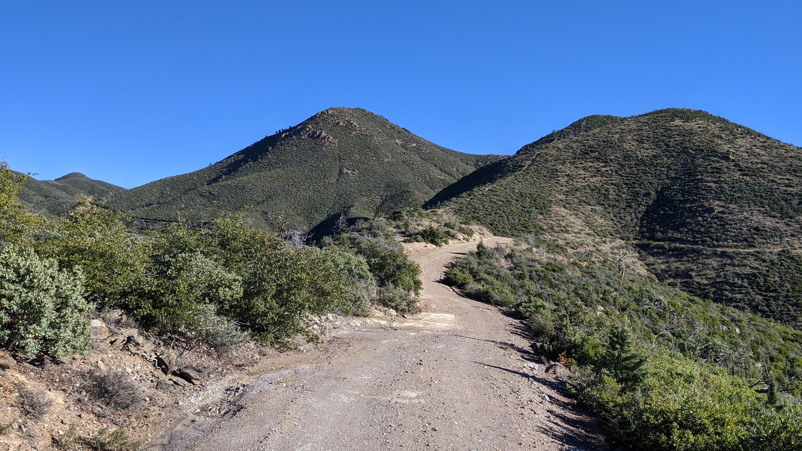 My Two Schillingsworth Cane Springs Loop