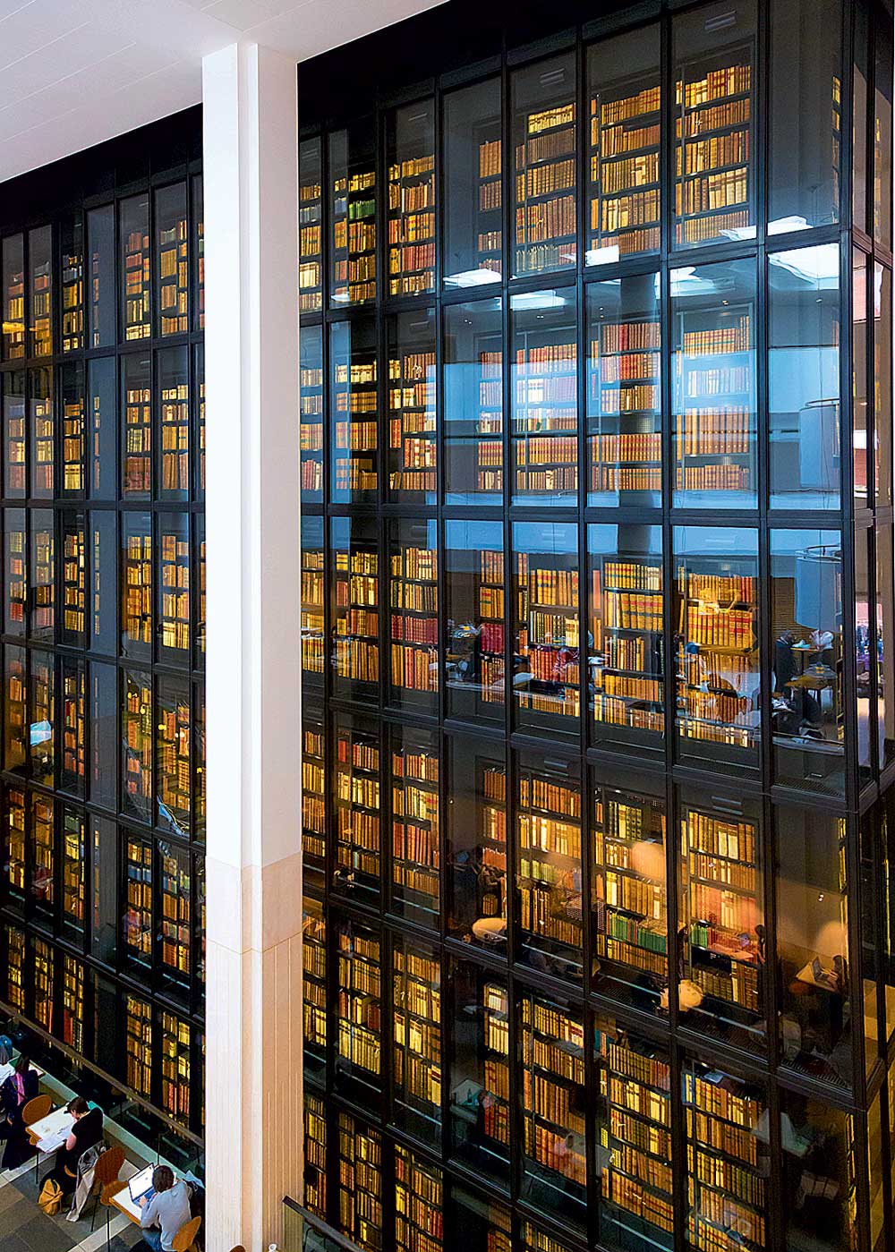 Британская библиотека в Лондоне. Самая большая библиотека в мире. Книжный мир. Великая библиотека.