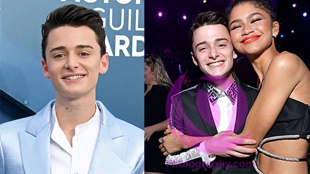 Noah Schnapp Biography Age Twin Wiki Height Net Worth