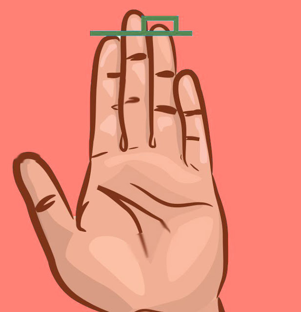 Amazing Facts, Knowledge and Jokes