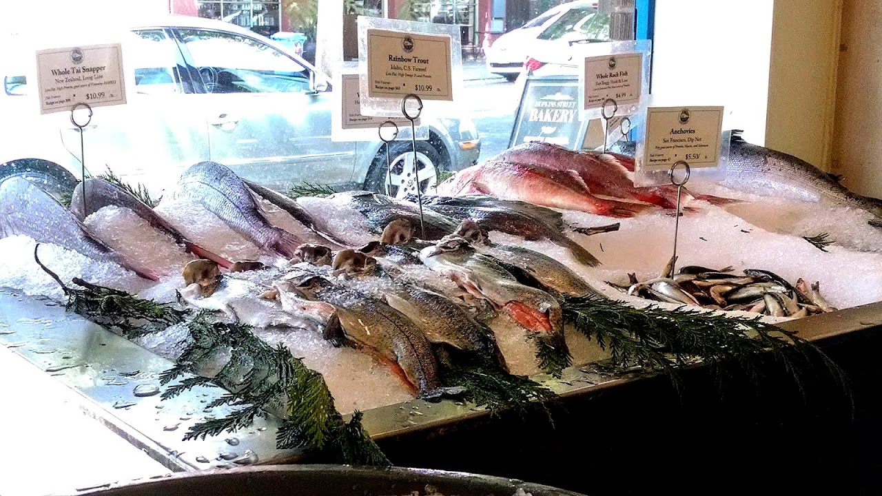 Where To Buy Fresh Fish In San Francisco Fish Choices