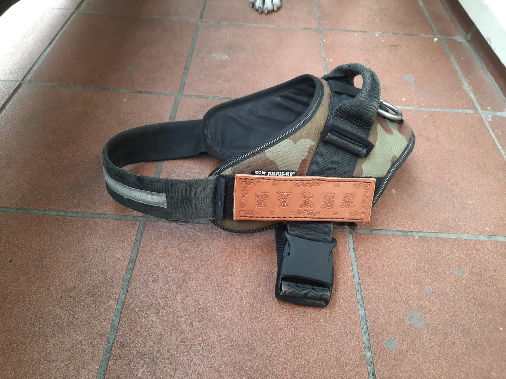 ESKUZ EGINA JULIUS K9 LEATHER NAME TAG, TARJETA NOMBRE PARA CORREA K9