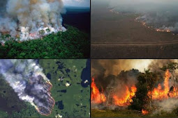 حرائق خطيرة بغابات الامازون وبمعدلات قياسية