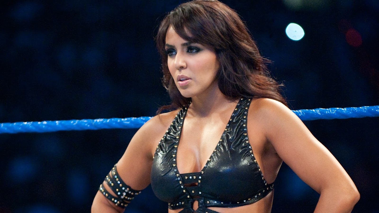 WWE WRESTLING RAW SMACKDOWN THE DIVAS LAYLA EL Wallpaper.