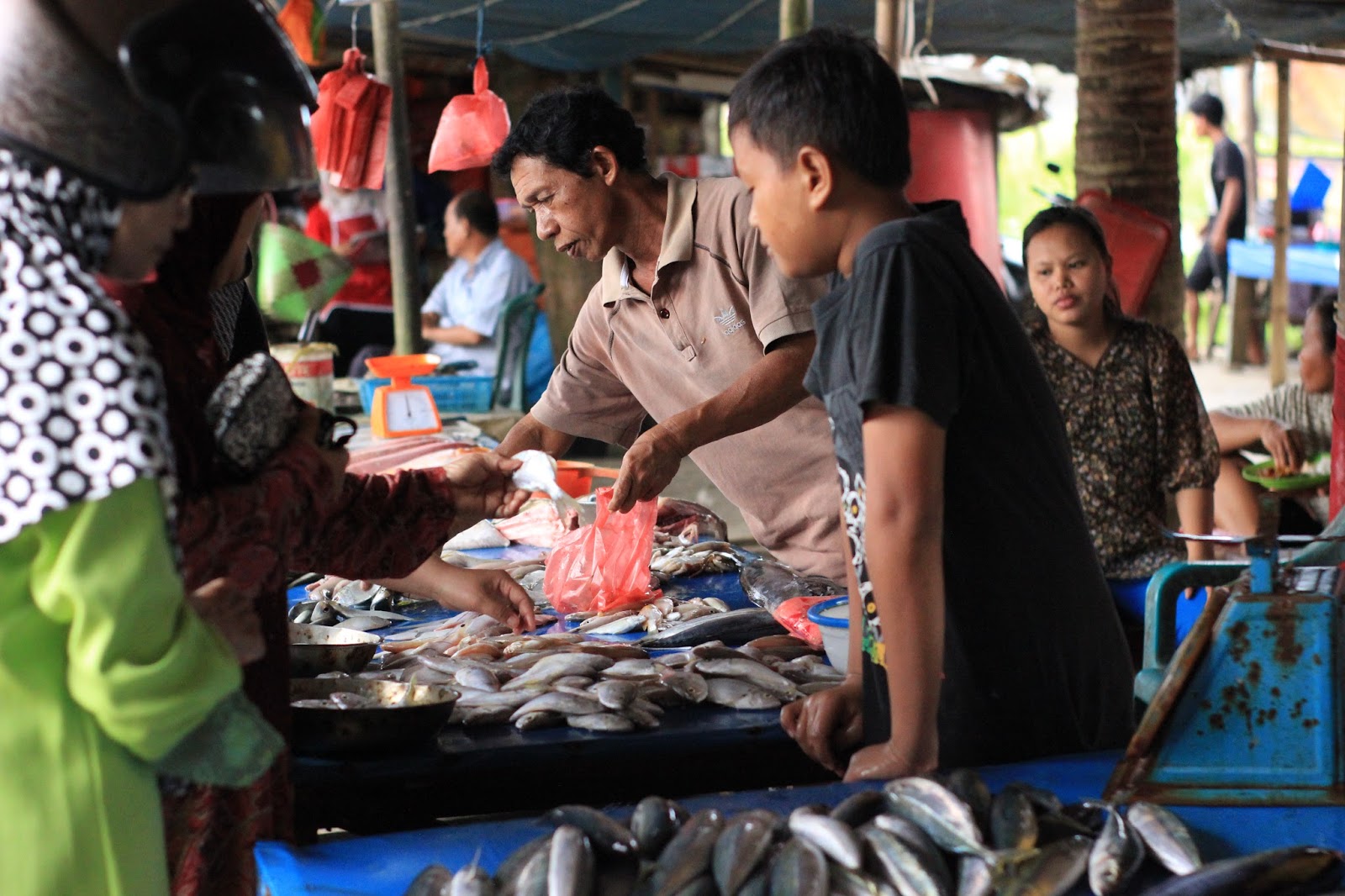 Essay foto adalah picture