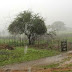 Meteorologista prevê chuvas no Semiárido da Paraíba a partir do dia 14 de fevereiro
