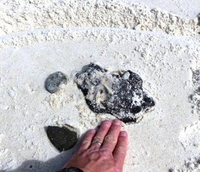 What's Up With the Gulf: MC252 Tarball Festival in Perdido Key, AL 2-28 ...