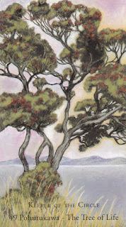 pohutukawa_0002.jpg