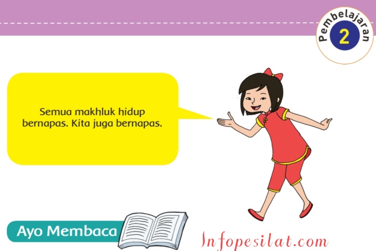 Kunci Jawaban Buku Tematik Siswa Kelas 5 Tema 2 Subtema 1 Pembelajaran 2 Halaman 16 17 18 19 20 Info Pesilat