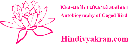 Autobiography of a bird image