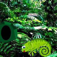 chameleon-rain-forest-escape.jpg