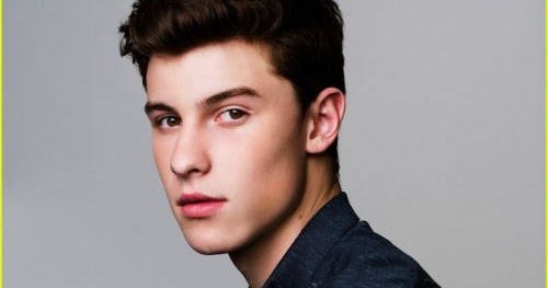 Serendipity Biography Shawn Mendes