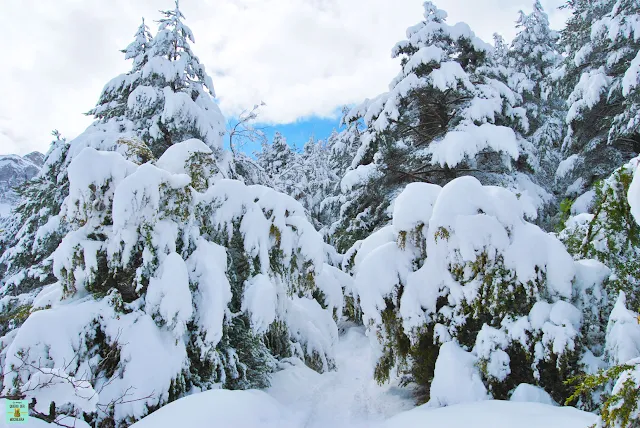 Paisajes nevados en Andorra