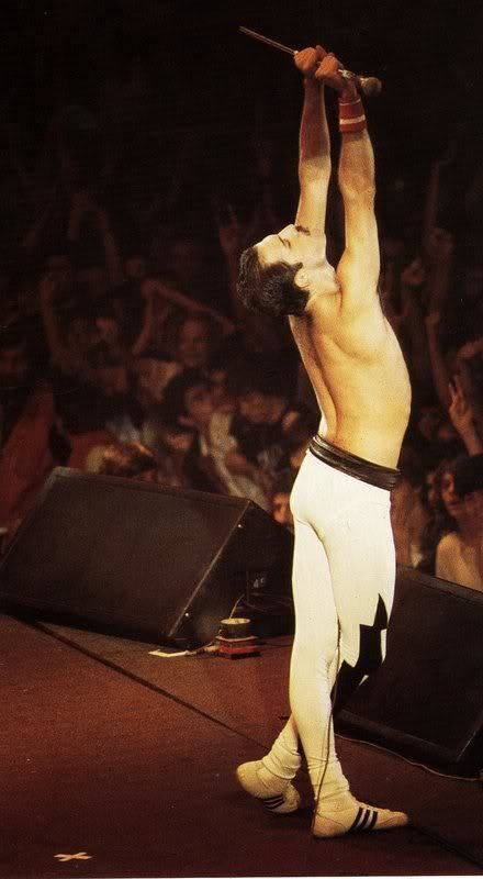 zapatillas que usaba freddie mercury