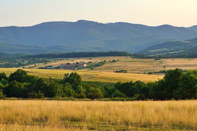 За каквото и да е