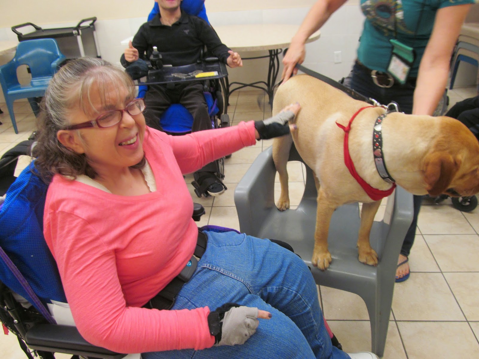 Poppy the Therapy Dog