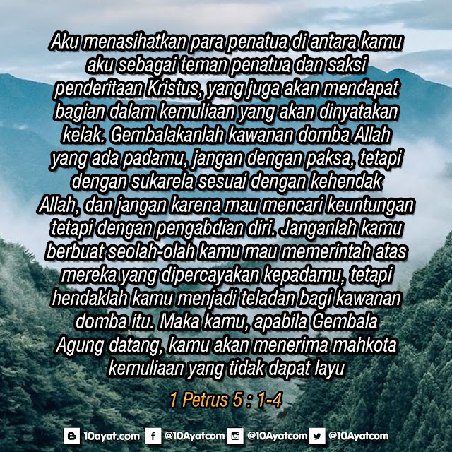 1%2BPetrus%2B5%2B %2B1 4