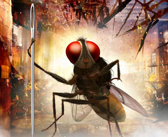 Eega finally gets the release date | Mp3 Songs Free Download