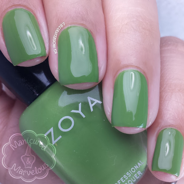 Zoya - Island Fun - Jace