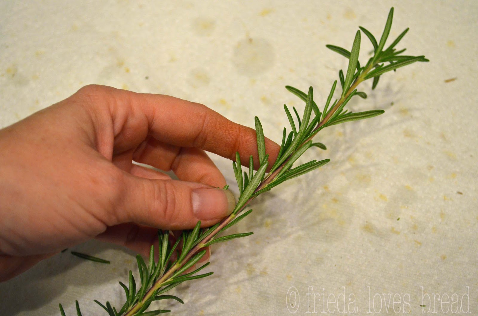 Frieda Loves Bread Freezing Rosemary & Other Herbs