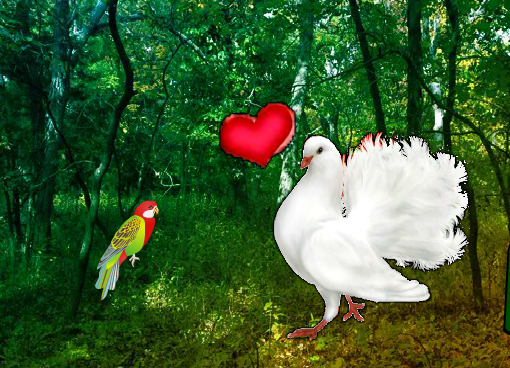 WowEscape Love Pigeon Forest Escape
