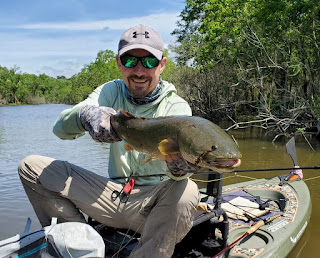 Fly Fishing for Bowfin, Bowfin on the fly, Texas Fly Fishing, Fly Fishing Texas, Bowfin, Beaverfish, Blackfish, Choupic, Cypress Trout, Dogfish, Ginnel, Grindle, Mud Fish,