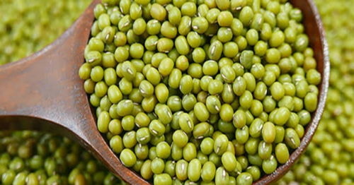 Erek Erek Kacang Hijau Ijo 2d 3d 4d Menurut Buku Mimpi Erek Erek Erek Erek Kacang Hijau Ijo 2d 3d 4d Menurut Buku Mimpi Erek Erek