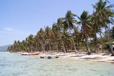 pantai barakuda