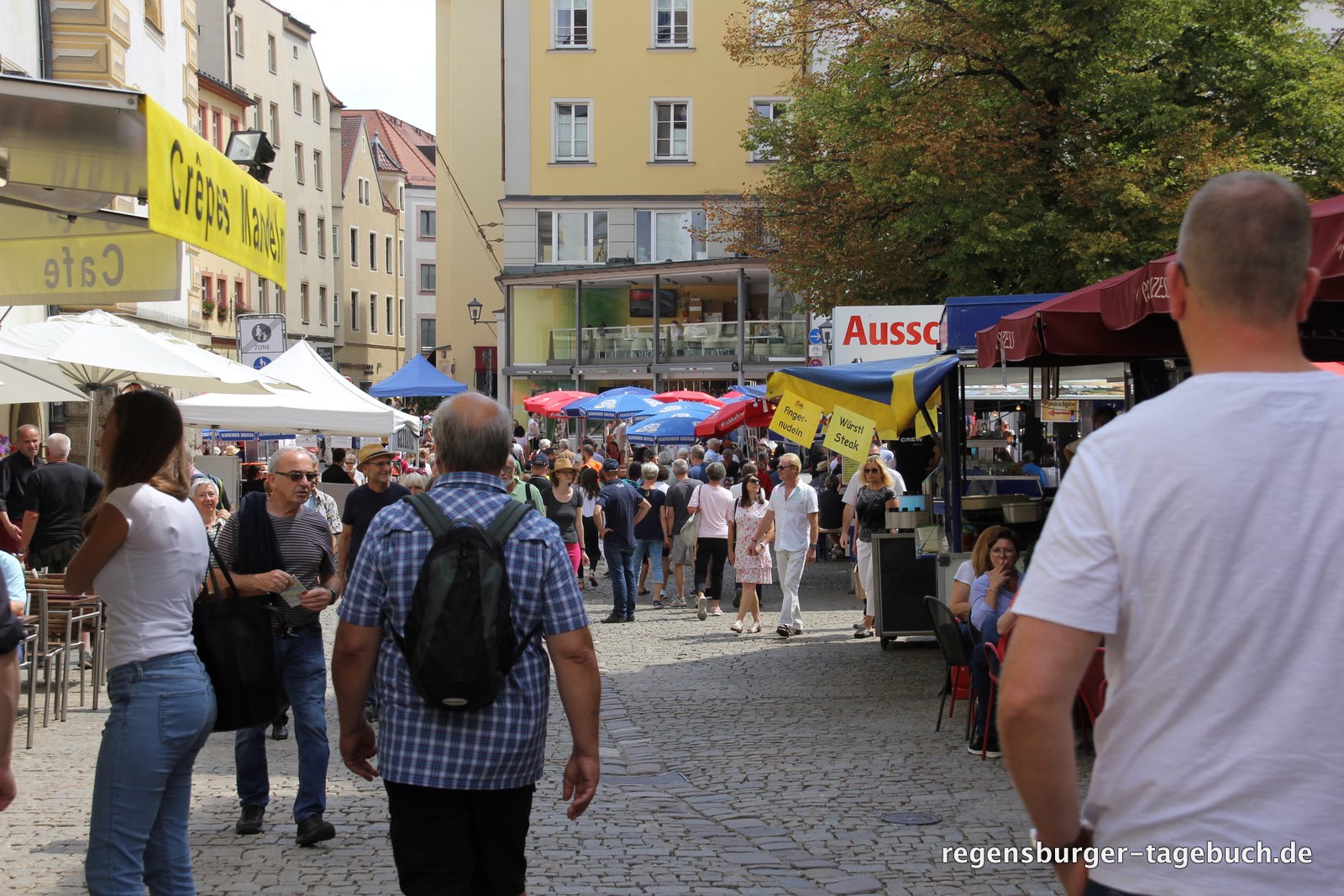 Demokratisch Links 2019 Januar