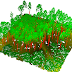Vegetation mapping using LiDAR