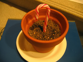 CONTROLLING Craziness: How to Grow a Candy Cane