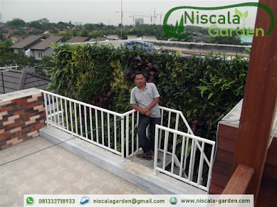 Tukang Taman Vertikal Pasuruan