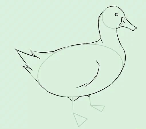تعليم الرسم للاطفال رسم بطة رسومات سهلة draw duck