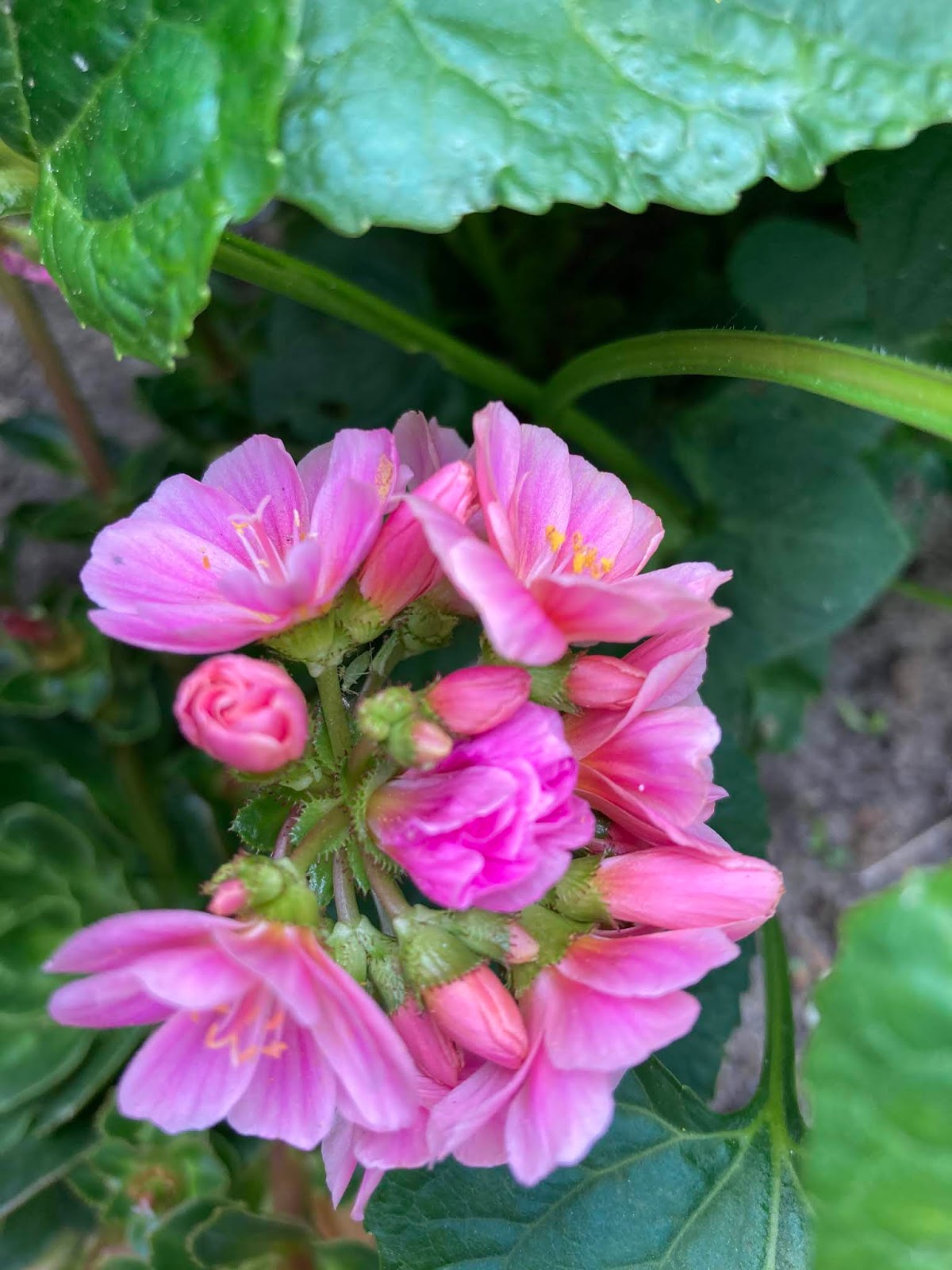 Quilting Blogs What Are Quilters Blogging About Today 2