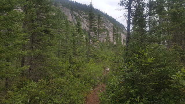 Vue à partir du sentier en direction vers le sommet Eudore-Fortin.