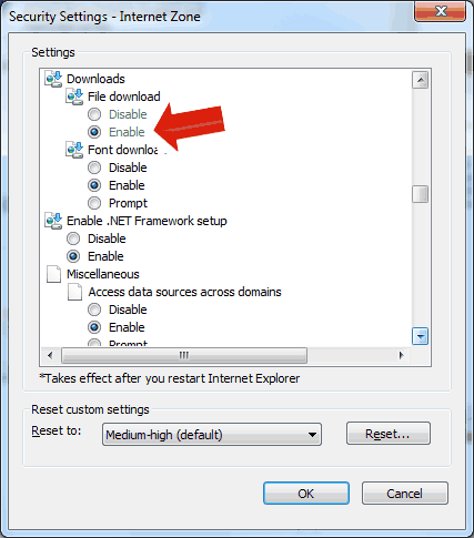 settings to allow a large file to download